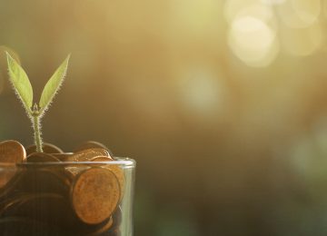 מערך שיעור: חיסכון